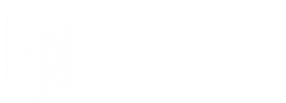 Delmes Informatics